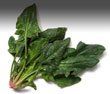 spinach-antiaging